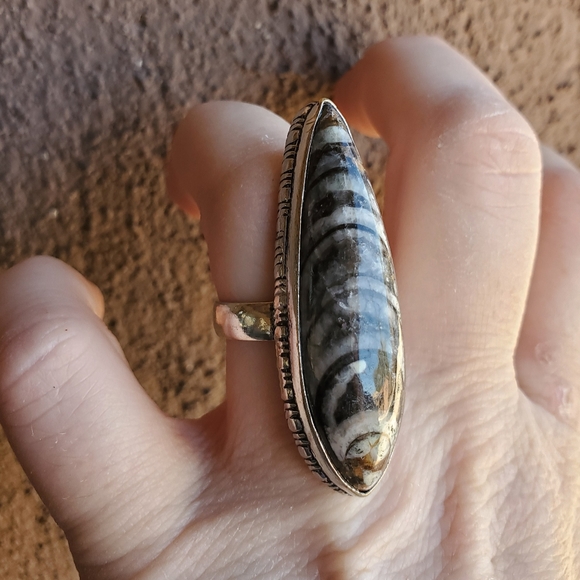 New Unique Orthoceras Fossil 925 Silver Statement Ring. - Picture 9 of 10